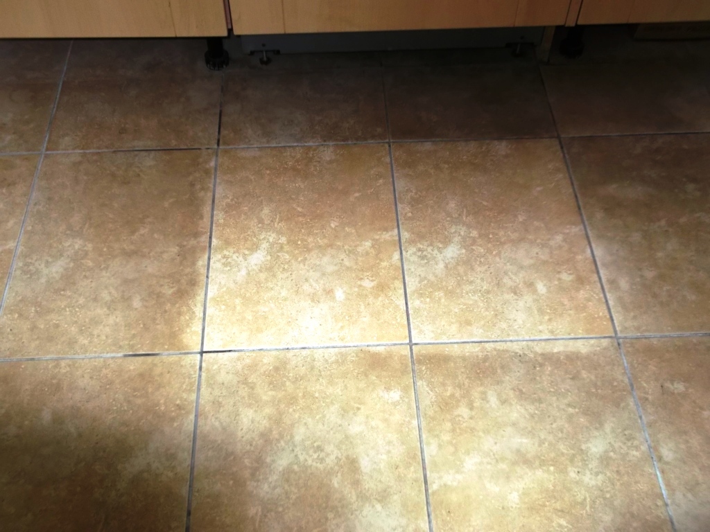 Ceramic Tiled Floor Cleaning